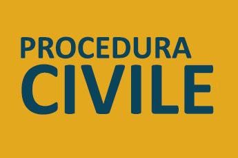 Consulenza legale in materia di processo civile